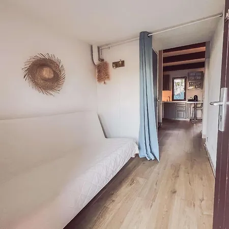 Charmante Climatisee Avec Piscine, Parking Prive Et Proche Plage, Ideale Pour Au Calme - Fr-1-607-158 Apartment